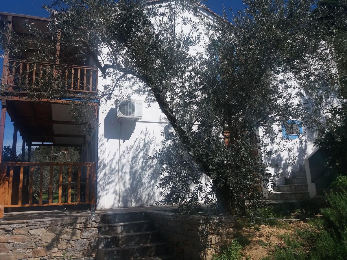 Megalos Mourtias Apartment Alonnisos Town Bagian luar foto